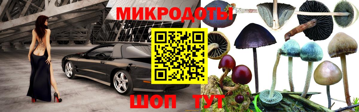 Галлюциногенные грибы MAGIC MUSHROOMS Муром