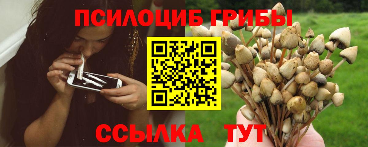 где купить наркотик  Псилоцибиновые грибы Magic Shrooms  Псилоцибиновые грибы Cubensis  Вход с VPN  Муром 